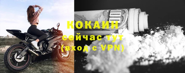 твердый Новокубанск