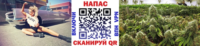 блэк спрут ссылка  Трубчевск  Бошки марихуана MAZAR  где продают наркотики 